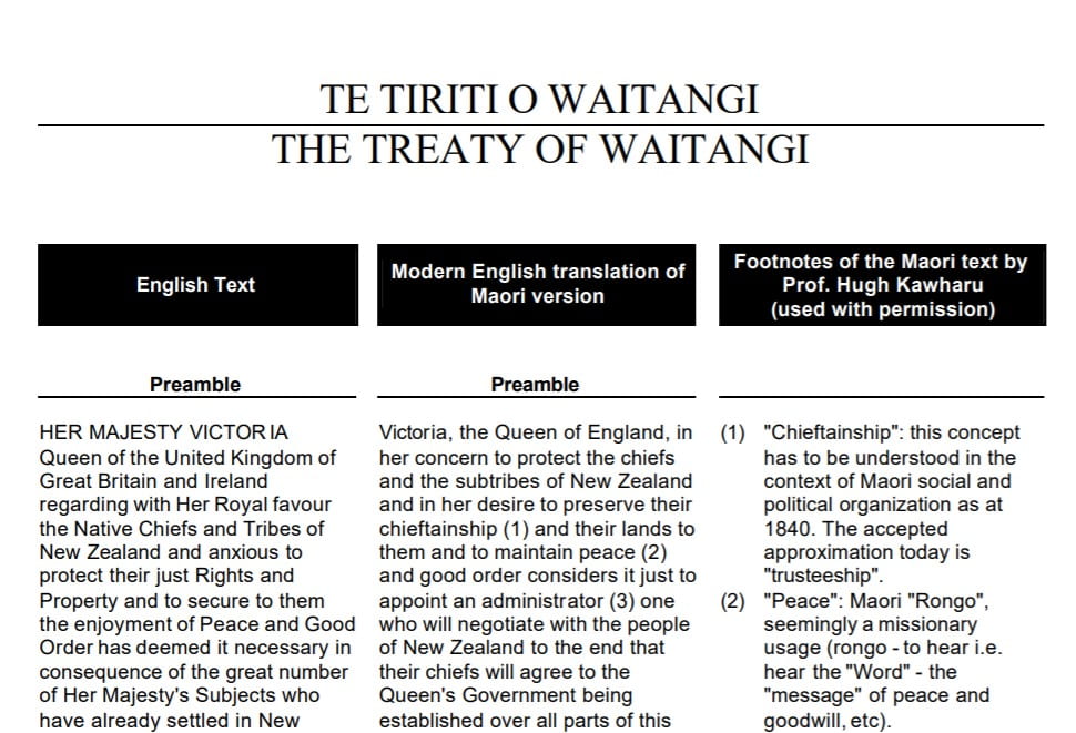 A screenshot of the translations of the Treaty of Waitangi